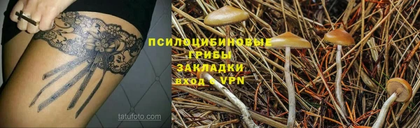 прущие крисы Арсеньев