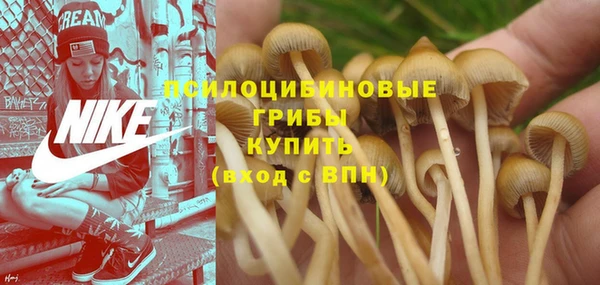 прущие крисы Арсеньев